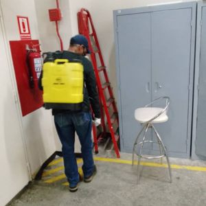 Fumigacion en Valencia - Empresa de Fumigaciones